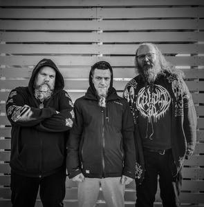 Three bearded men in front of a wooden wall.